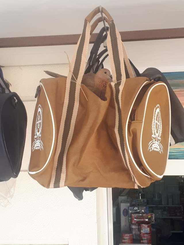 Kocaeli'de Kuşlar öyle bir yere yuva yaptı ki görenler hayrete düştü - Resim: 0