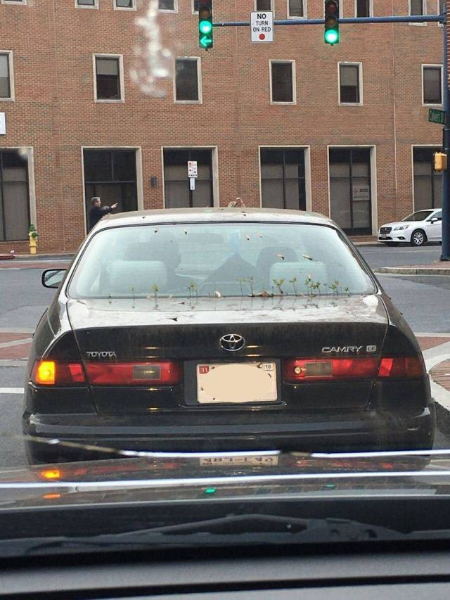 Günün en ilginç 65 fotoğrafı! - Resim: 4