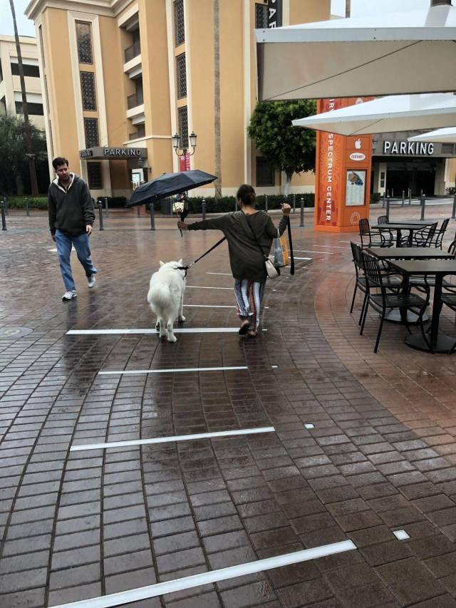 Günün en çok paylaşılan fotoğrafları - Resim: 3