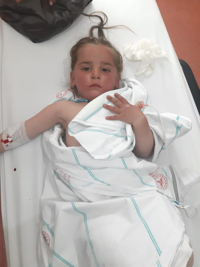 Muş'ta 4 yaşındaki kayıp Menesa'dan sevindirici haber - Resim: 0