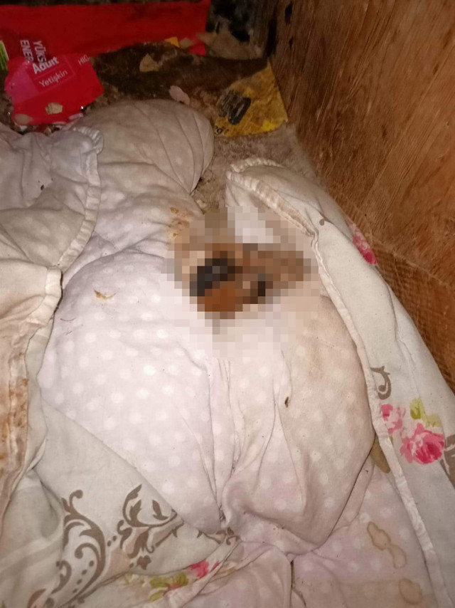 Esenyurt'ta insanlığı öldüren olay! Başını gövdesinden ayırıp patisini kestiler - Resim: 0