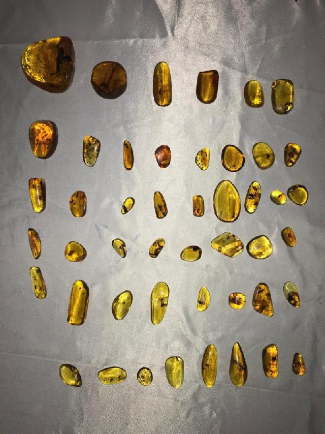 Ankara'da fil dişi ve gergedan boynuzundan yapılmış 1 milyon liralık tespih ele geçirildi - Resim: 2