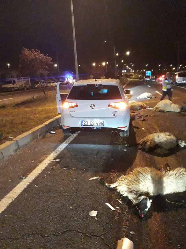 Elazığ'da hız yapan otomobiller koyun sürüsüne çarptı - Resim: 1