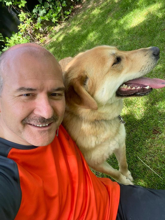 İçişleri Bakanı Süleyman Soylu, sahiplendiği sokak köpeklerinin fotoğraflarını paylaştı - Resim: 1