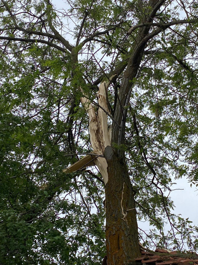 Kütahya'da genç kız oturduğu çardakta yıldırıma yakalandı - Resim: 0