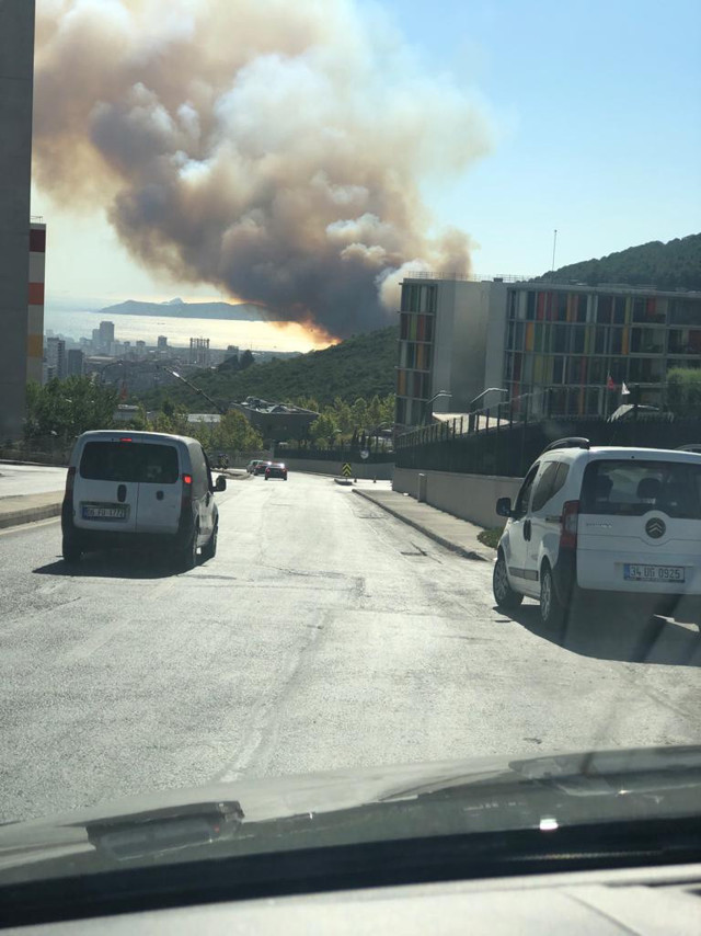 İstanbul Maltepe'de ormanlık alanda korkutan yangın! İşte ilk görüntüler - Resim: 0