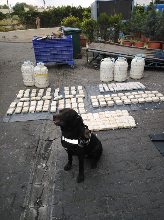 Ankara'da peynir bidonundan çıkanlar 'bu kadarına pes' dedirtiyor - Resim: 0