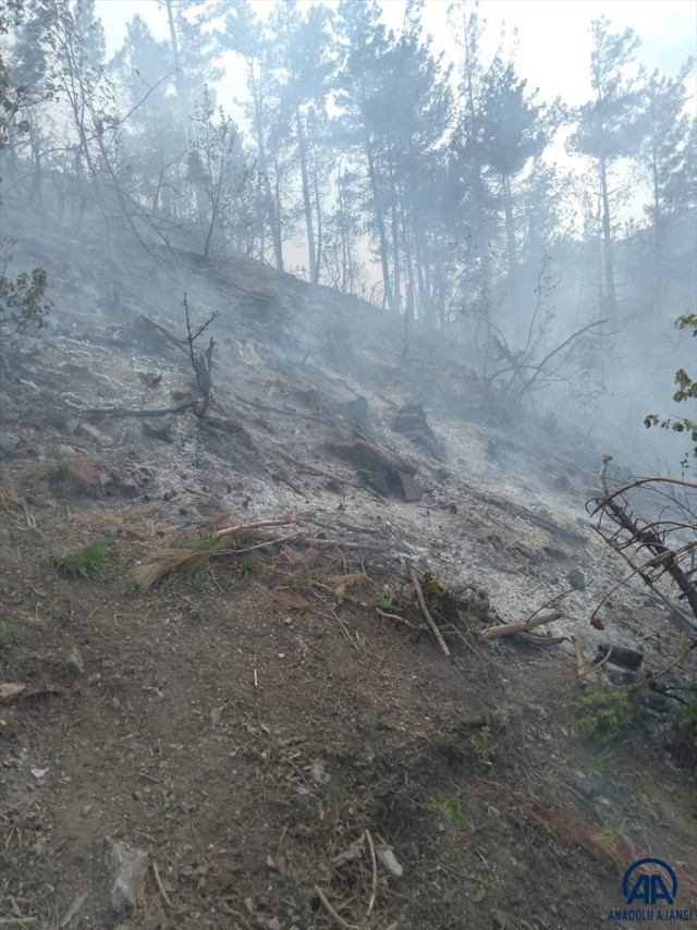 Osmaniye'de 10 dekar örtülük alan yandı - Resim: 0