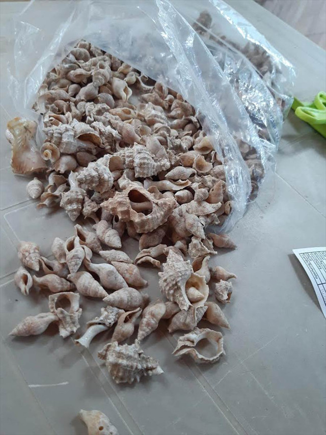 Antalya Patara'daki kazı çalışmalarında bulundu 2 bin 300 yıllık - Resim: 0