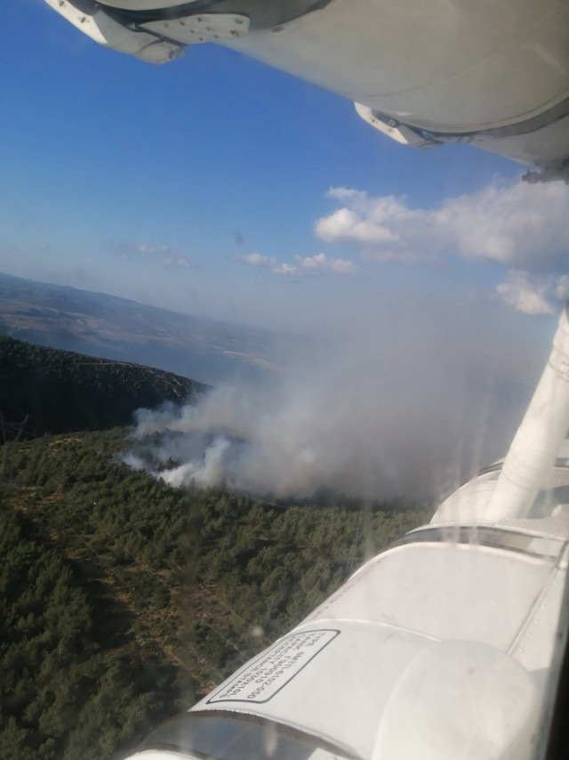 İzmir Çeşme'de orman yangını başladı! Havadan ve karadan müdahale ediliyor - Resim: 0