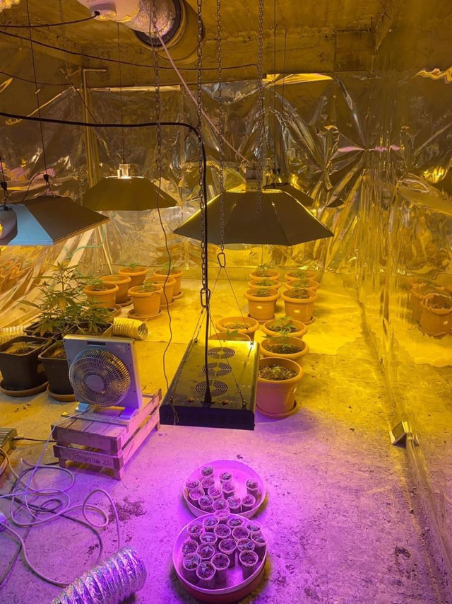 Düzce'de polisleri bile şaşırtan uyuşturucu yetiştirme düzeneği bulundu - Resim: 0