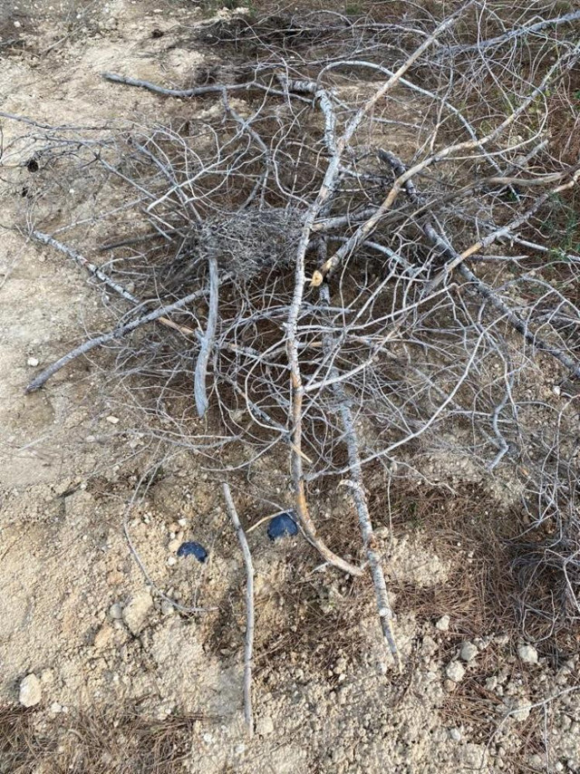Kayıp olarak aranıyordu! Korkunç halde bulundu katilleri bakın kim çıktı - Resim: 0