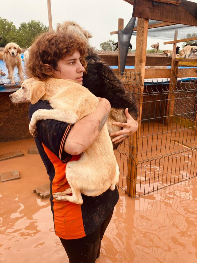 Bartın'daki selde 56 köpek telef oldu! Barınakta mahsur kalan köpekler böyle kurtarıldı - Resim: 2