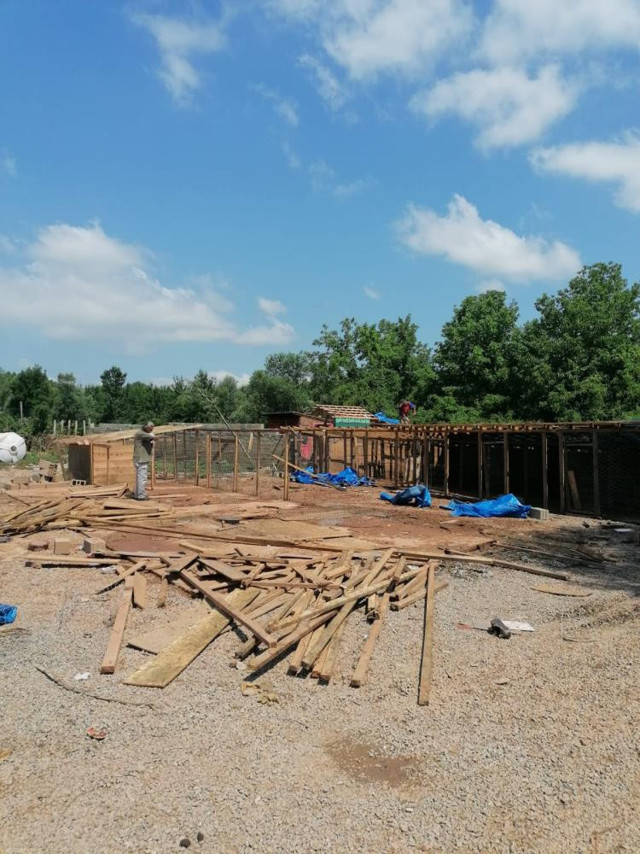 Bartın’da selde 56 köpeğin telef olduğu barınak yıkıldı - Resim: 1