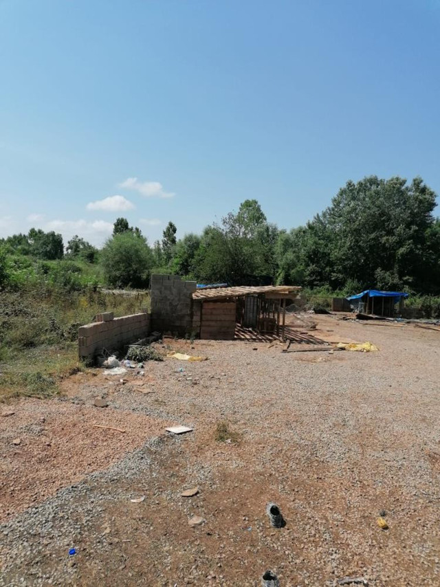 Bartın’da selde 56 köpeğin telef olduğu barınak yıkıldı - Resim: 2