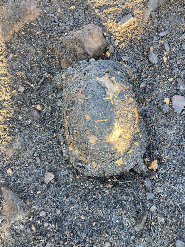 Mersin'deki yangın ormana ramak kala söndürüldü - Resim: 1