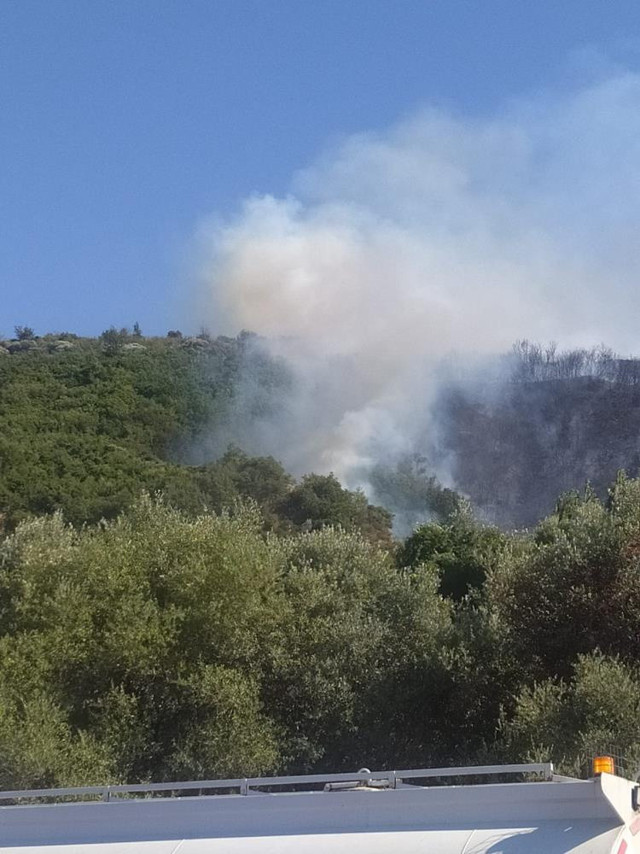 Ekipler seferber oldu, Aydın'daki yangın kontrol altına alındı - Resim: 0