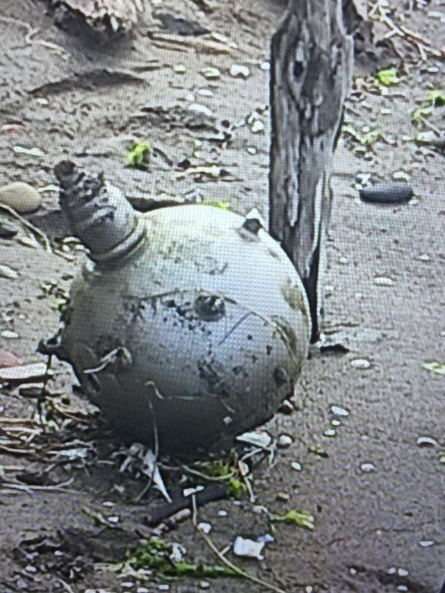 Ordu sahilinde Rus yapımı mayın tetikleyicisi imha edildi - Resim: 1