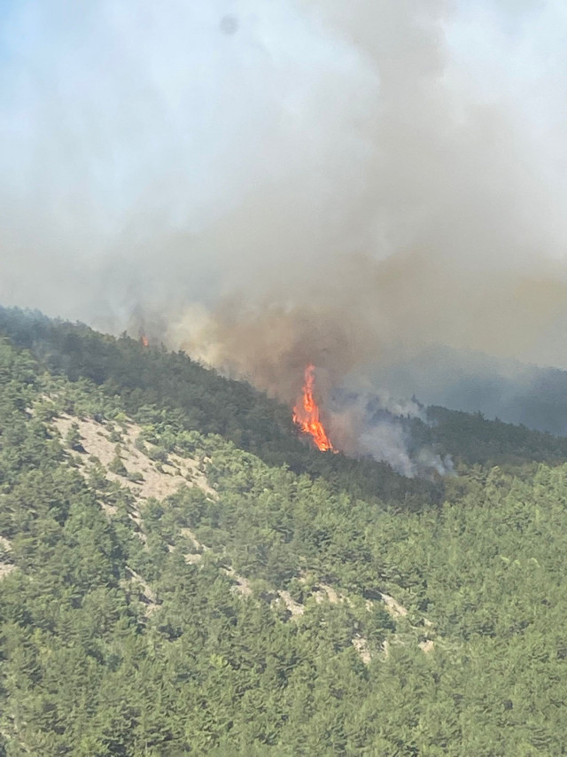 Balıkesir ve Eskişehir'de orman yangını çıktı! Karadan ve havadan müdahale başladı - Resim: 0