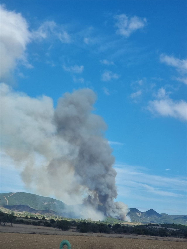 Gelibolu'da orman yangını çıktı uçaklar, helikopterler bölgede - Resim: 0
