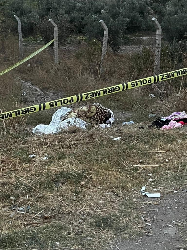 Denizli'de yol kenarında korkunç görüntü! Battaniyeye sarılı halde bulundu - Resim: 1