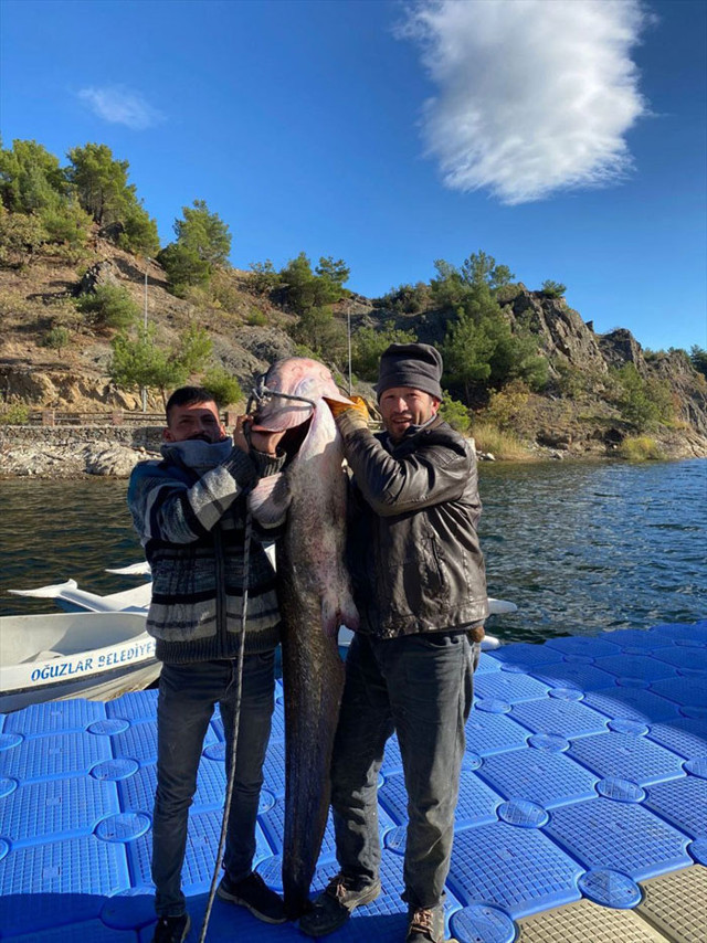 Çorum'da balıkçıların oltasına takıldı gören fotoğraf çektirdi - Resim: 0