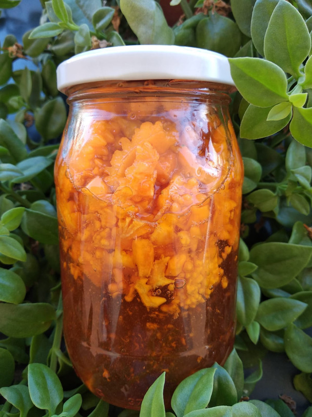 Mide problemlerini bitiren besin! Sabah akşam bir tatlı kaşığı tüketin! - Resim: 1