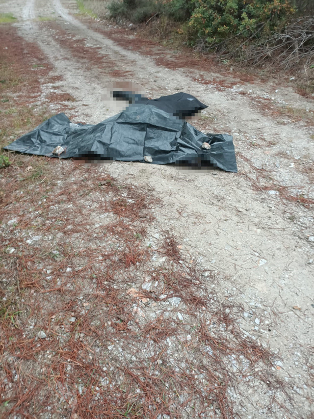 Bursa'da uçak düştü! Termik santral yakınındaki kazadan acı haber geldi - Resim: 2