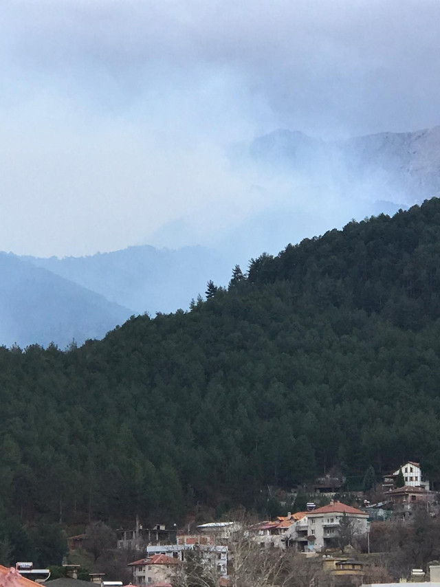 Denizli'de orman yangını çıktı! Meteoroloji uyarmıştı alevler kısa sürede büyüdü - Resim: 0