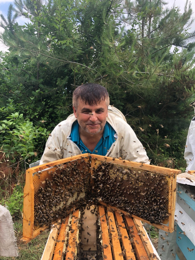 Binlerce arı telef oldu, gerçek güvenlik kamerası görüntülerinde ortaya çıktı - Resim: 2