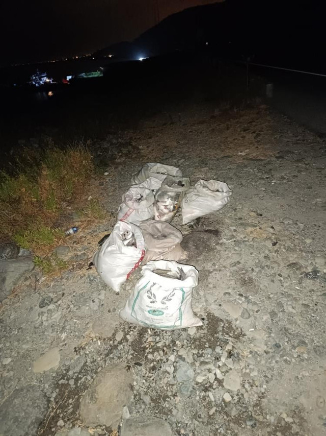 Hatay'da şaşkına çeviren olay: 1,5 milyon liralık vurgun yapmışlardı! Balık hırsızları suçüstü yakalandı... - Resim: 1