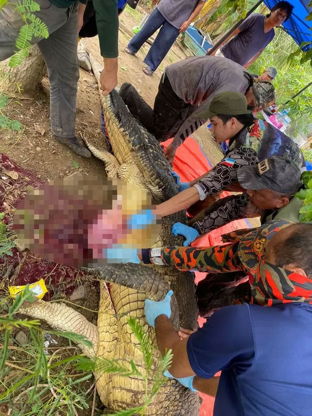 Kan donduran görüntü! 4 gündür kayıp olan adam timsahın midesinden çıktı - Resim: 0