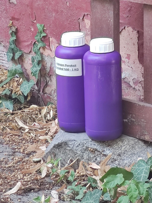 Kedilere asit dökerek zarar vermişti! O caninin cezası belli oldu... - Resim: 0