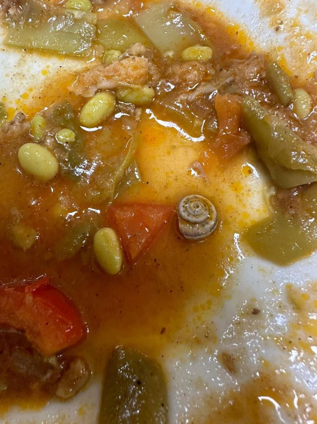 Amasya’da hastane yemeğinde ‘salyangoz’ çıktı iddiasına soruşturma - Resim: 0