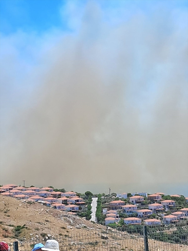 Çeşme'de orman yangını çıktı! Rüzgar nedeniyle alevler yayılıyor, 3 kişi hayatını kaybetti - Resim: 0