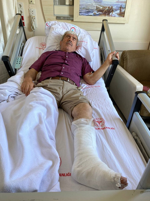 Antalya'da sahipsiz köpeğin saldırdığı kişi bisikletten düşerek yaralandı - Resim: 0