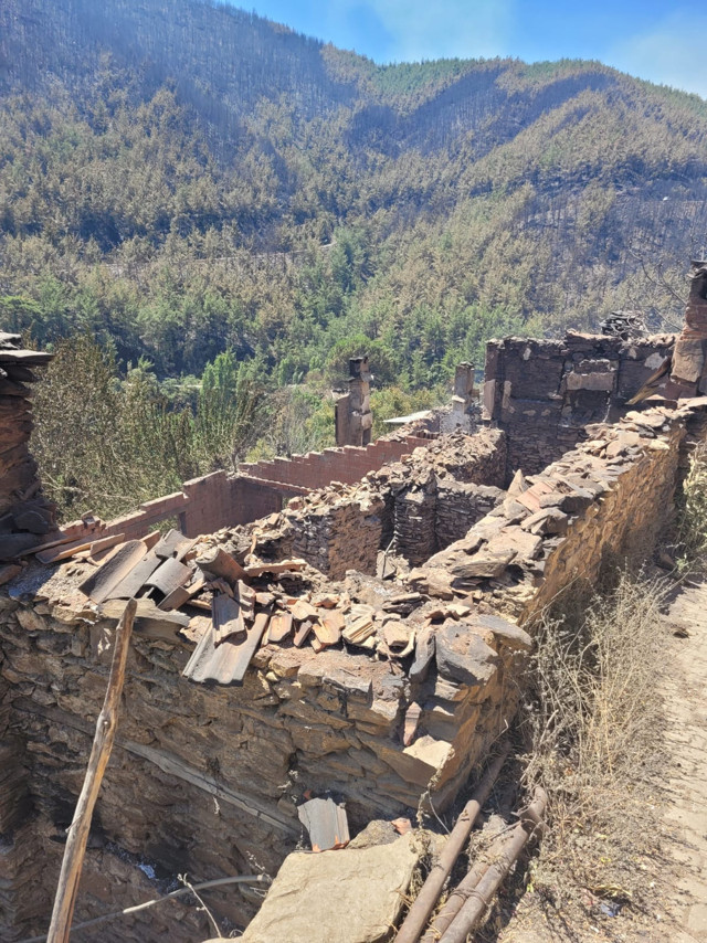 Bakan Kurum, orman yangınlarıyla ilgili hasar tespit verilerini paylaştı - Resim: 1