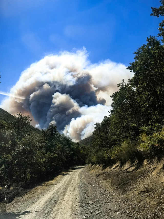Kocaeli'de orman yangını çıktı! Dumanlar Bursa'ya ulaştı , gökyüzü puslandı - Resim: 0