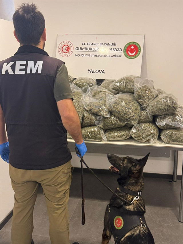 Fransa'dan gemiyle Yalova'ya gelen tırdan çıkanlara bakın! - Resim: 1