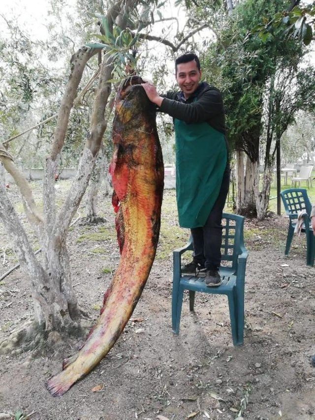 Görenleri şoke etti! Bursa'da yakaladılar! Ağaca asıp... - Resim: 2