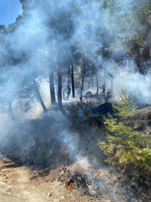 Kaş'ta yangın başladı! Helikopterler, uçaklar bölgede... - Resim: 0