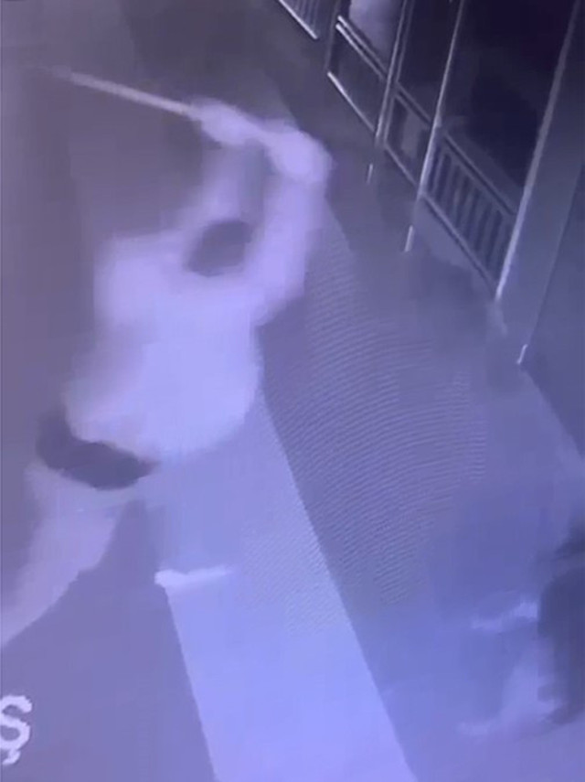 Köpeği önce sever gibi yaptı sonra acımasızca vurdu! Korkunç görüntüler: Sopanın ucu kırıldı! - Resim: 2