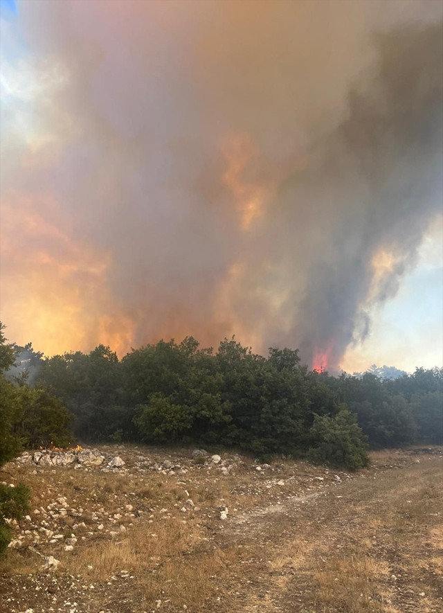 Eskişehir'de orman yangını kontrol altında! - Resim: 0
