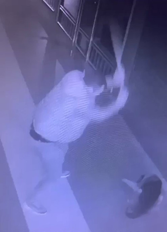 Köpeği önce sever gibi yaptı sonra acımasızca vurdu! Korkunç görüntüler: Sopanın ucu kırıldı! - Resim: 0