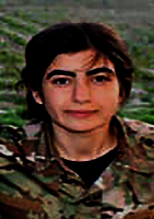 MİT PKK'nın silahlı kadın ve gençlik yapılanması sorumlularından Hicran İcuz'u etkisiz hale getirdi - Resim: 0