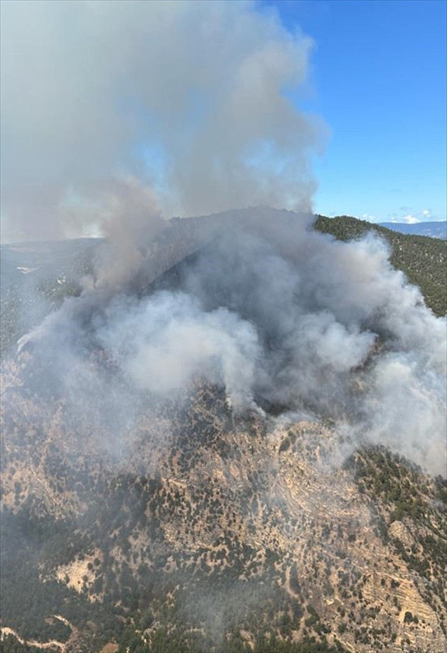Bolu'da yıldırım düşmesi sonucu orman yangını çıktı! Müdahale sürüyor - Resim: 0