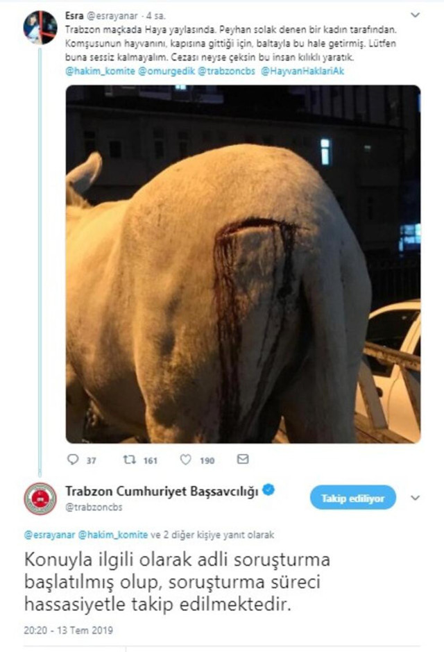 Komşusunun eşeğine keserle saldırdı - Resim: 0