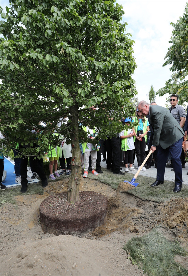 İstanbul nefes alacak! Atatürk Havalimanı Millet Bahçesi'ne ilk fidanı Cumhurbaşkanı Erdoğan dikti - Resim: 0