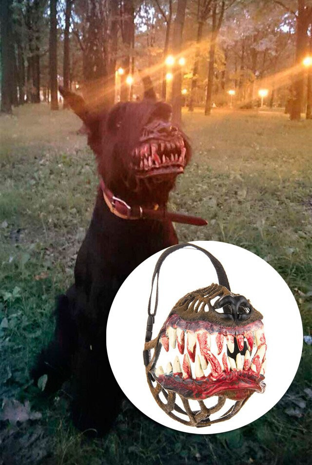 Gerçek aslında hiçte sandığınız gibi değil! - Resim: 2