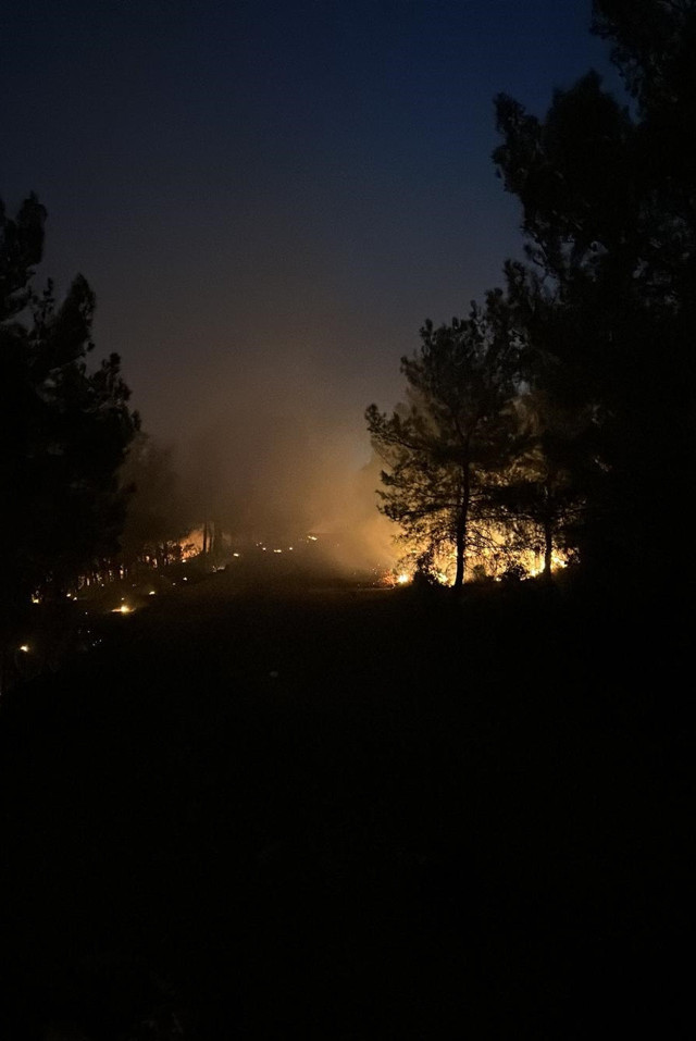İzmir'de orman yangını çıktı! Helikopter ve uçaklar havadan ekipler yerden müdahale ediyor - Resim: 1